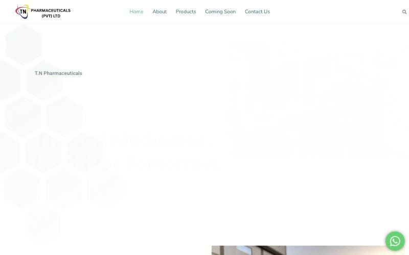 The old homepage four seconds after loading, still almost blank